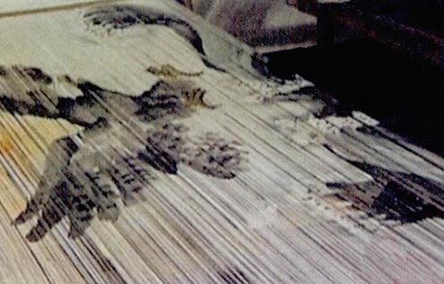 永春纸织画的魅力-八凡集