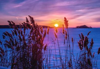 形容开心激动的句子 兴奋喜悦激动心情句子-八凡集