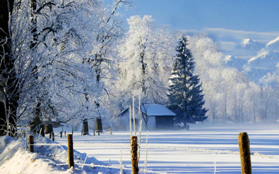 佛语渡人的句子(佛经中最有禅意的句子)