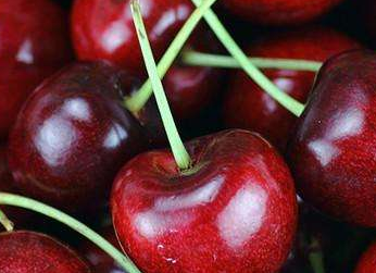 4j车厘子还是3j的好