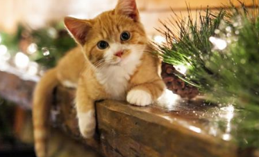 调侃朋友的幽默句子(损朋友的带幽默)-八凡集