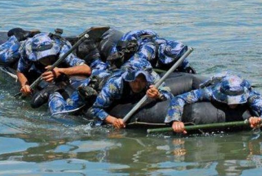 空降兵不属于什么军种 海军陆战队有空降兵吗-八凡集