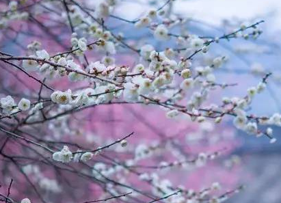 最简短有意境的诗句-八凡集