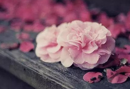 鬼谷子看透人性四句话(鬼谷子交友术)