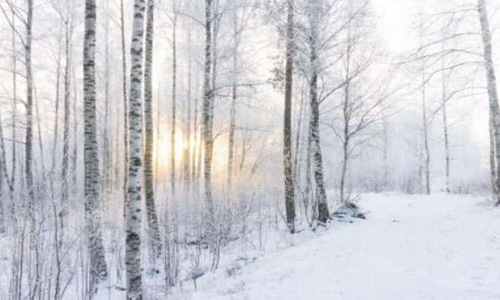 测试你潜意识喜欢谁 三幅雪景图让你明白自己的心意