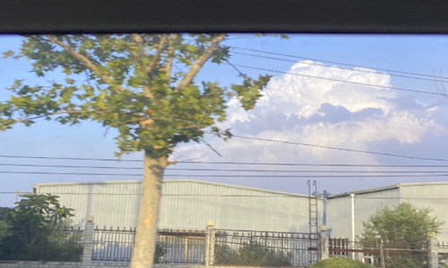 抖音你骄傲的飞远我栖息的夏天是什么歌?任然的歌都很好听