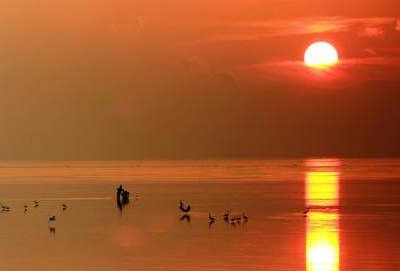 骄阳似火是什么意思 小说骄阳似火介绍