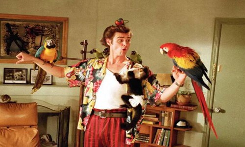 10部让人笑成傻子的电影 十部笑到捧腹的电影