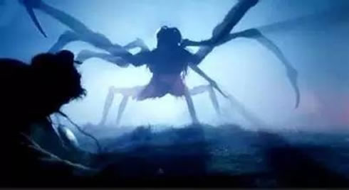 大蜘蛛进家里代表什么-八凡集