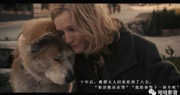 十大最感动的催泪电影 感人电影催泪的电影-八凡集