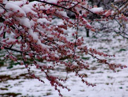 道德经中最唯美的句子
