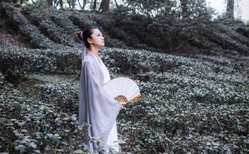 100首完整的最美古诗词-八凡集