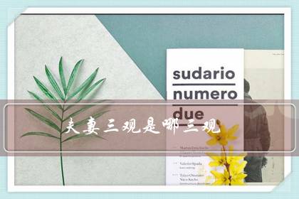 夫妻三观是哪三观(如何判断两人三观不合)