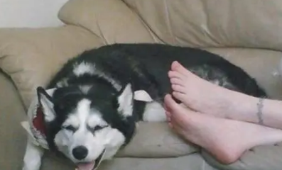 我被女生踩在脚下(用舌头清理女主人的脚)-八凡集