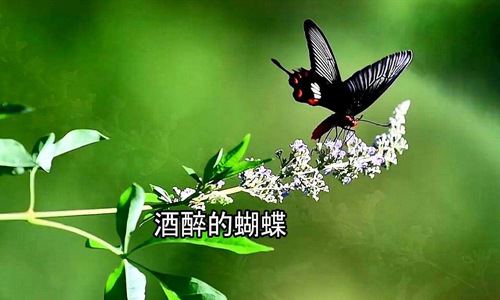 2020抖音最火歌曲大盘点,最好听的爆红流行歌曲前十名