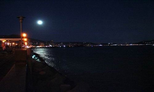 我问我自己活着是为什么是什么歌，谁的心在午夜漂泊唱出心酸-八凡集