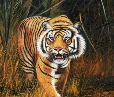 虎年开门红口号霸气押韵 虎的口号霸气押韵-八凡集