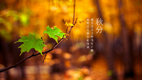 感谢老师对孩子的教育和辛苦的句子 家长感谢老师辛苦的话