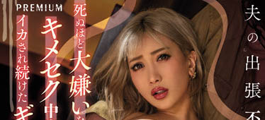 AIKA品番作品PRED-405介绍及预览-八凡集