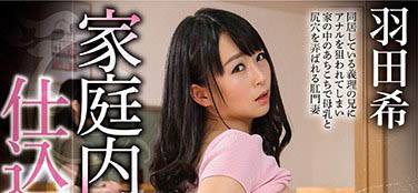 温柔小护士《羽田希》精选作品推荐介绍及封面预览